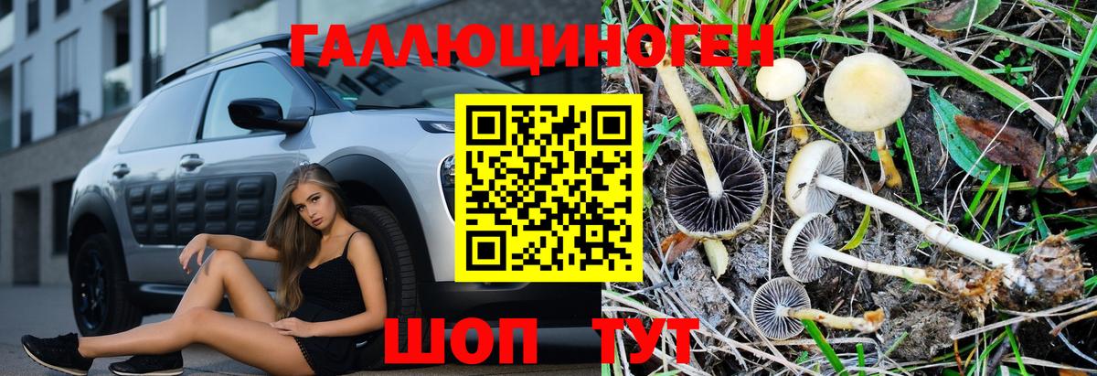 Галлюциногенные грибы MAGIC MUSHROOMS  Вход с VPN  Горно-Алтайск 