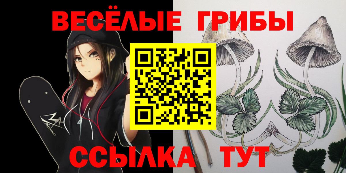 Галлюциногенные грибы мухоморы Горно-Алтайск